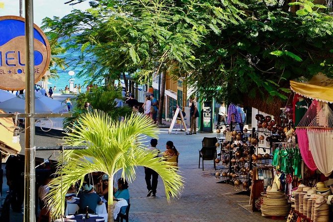 Discover Tulum, Visit Coba and Swim in a Real Mayan Cenote and Playa Del Carmen - Cenote and Lunch Experience