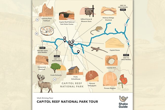 Discover Zion, Bryce, and Capitol Reef Review - Flexibility and Convenience