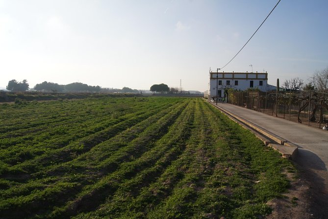 Discovering Valencia - Private Full Day Tour - Exploring Valencias Landscapes