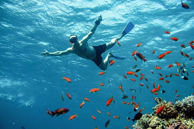 Diving and Visiting Giftun Island With Snorkeling Boat Trip - Thrilling Water Sports Activities
