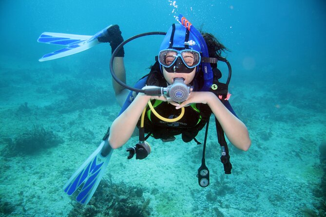 Diving Full Day 2 Stops Boat Trip For Beginners With Lunch and Transfer–Hurghada - Customer Feedback and Ratings