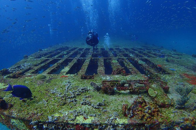 Diving in Cancun for Certified Divers | 2 Dives | All Inclusive - Health and Safety Considerations