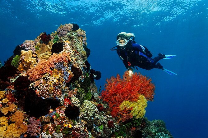 Diving or Snorkeling Boat Tour With Lunch and Drinks - Hurghada - Booking Details