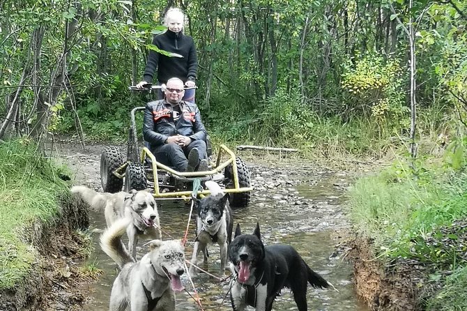 Dog Driving With Dog Carriage in the Alta Valley Along the Famous Salmon River - Tour Inclusions