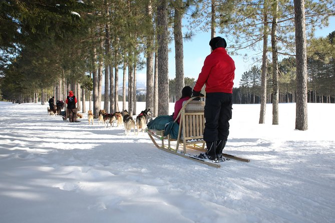 Dogsled Adventure in Mont-Tremblant - Inclusions and Safety Measures