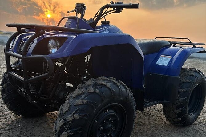 Doha-Half Day Safari With Quad Bike Atv/Camel Ride/Sandboard - What to Expect During the Tour
