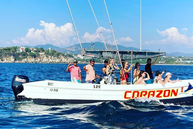 Dolphin Watching - Tour Duration