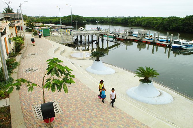 Dolphin Watching Experience in Puerto El Morro From Guayaquil - Pricing and Booking Information