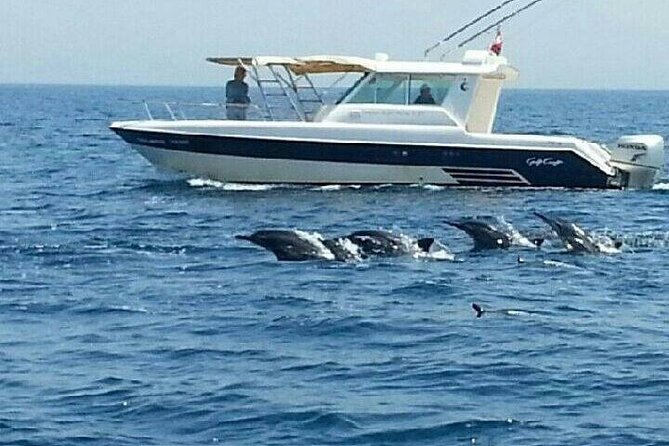 Dolphin Watching in Muscat - Accessibility and Requirements