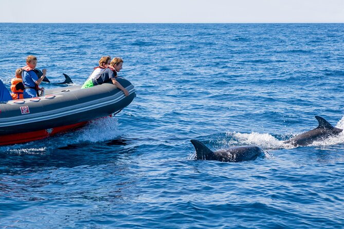 Dolphins & Caves on Rib Boat - Meeting and End Points