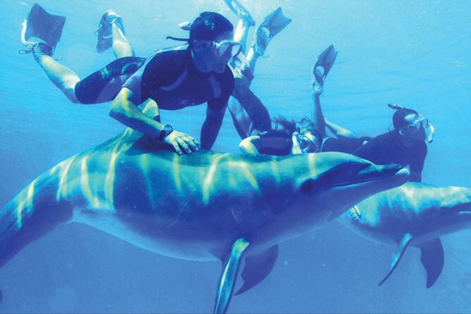 Dolphins House Sea Hero of Egypt Snorkeling &Water Activities - Booking Details