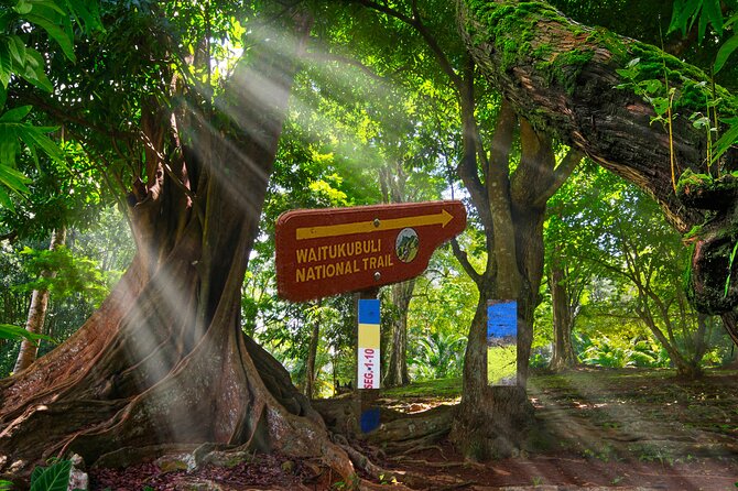 Dominica Waitikubuli National Trail -The Caribbean Longest Hiking Trail/17 Days - Meeting and Pickup Details