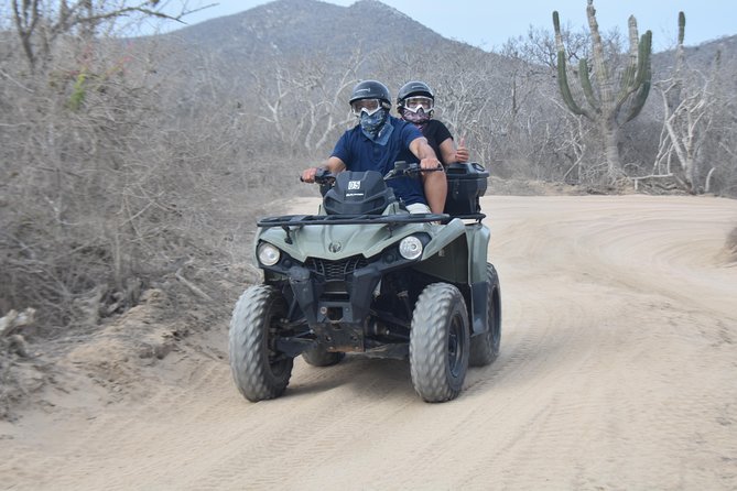 Double ATV Migrino Beach & Desert - Customer Reviews and Feedback