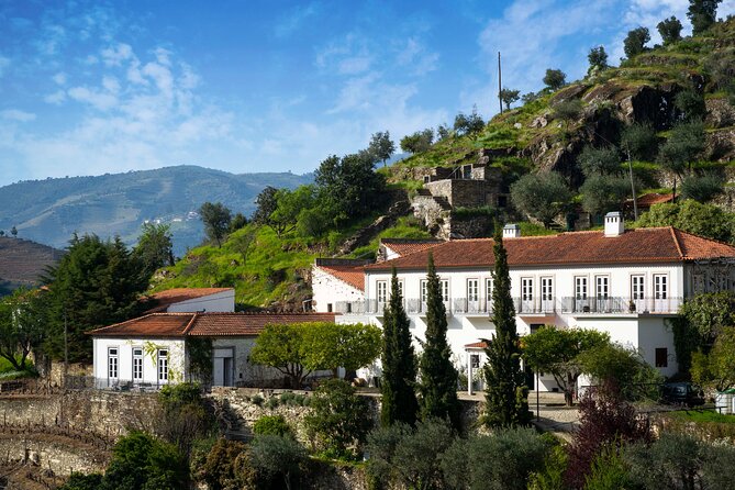 Douro Valley Private Tour With Wine Tasting and Boat Tour - Accessibility and Participation