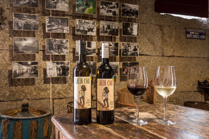 Douro & Vinho Verde: Family Wineries Private Tour in Portugal - Scenic Views of Douro Valley