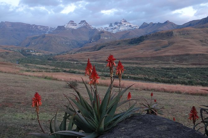 Drakensberg Mountain Day Tour Into Lesotho From Durban - Participant Requirements