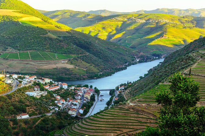 Driver With Private Vehicle in the Douro Valley - Booking and Cancellation Policy