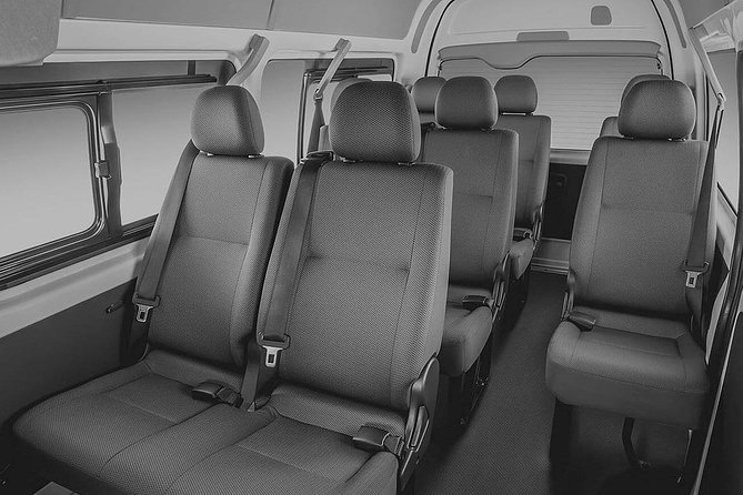 Dubai Airport Shuttle - One Way Arrival Transfer - Accessibility and Participation