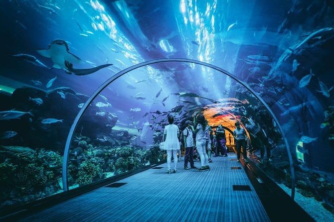 Dubai Aquarium and Underwater Zoo Admission Ticket With Options - Exploring the Aquarium and Underwater Zoo