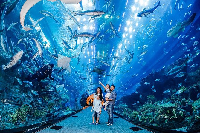 Dubai Aquarium & Level 124 Burj Khalifa Combo - Explore the Dubai Aquarium