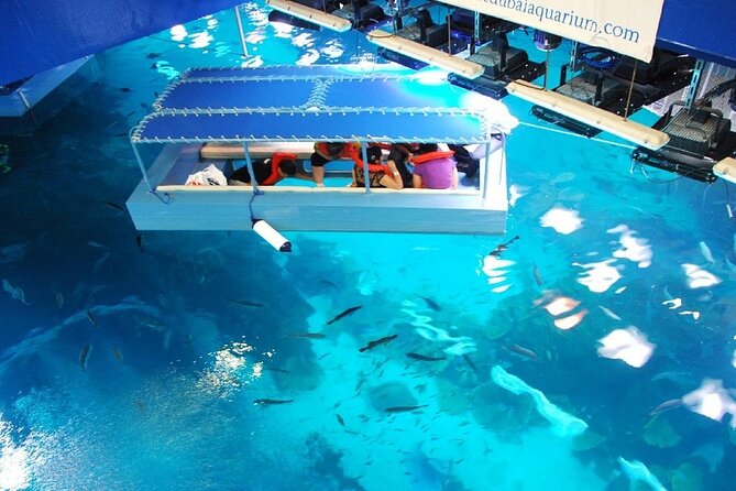 Dubai Aquarium & Underwater Zoo With Penguin Cove - Glass-Bottom Boat Rides