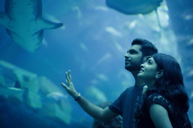 Dubai Aquarium With Various Animal Encounter and Access Options - Visitor Guidelines and Accessibility