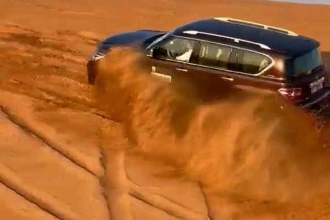 Dubai Desert Safari: Premium Adventure ,Camel Riding & Live Shows - Camel Riding Experience