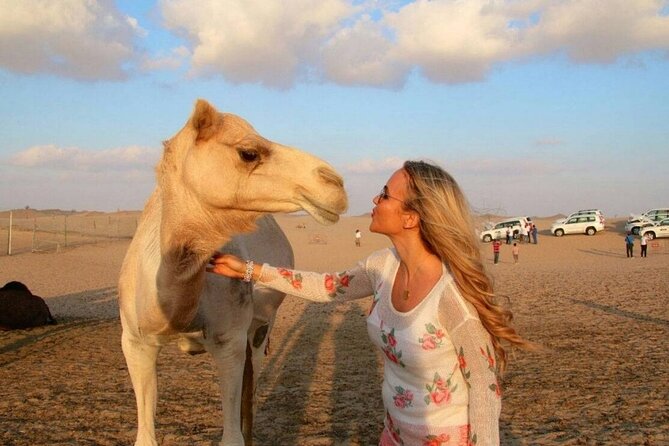 Dubai Desert Safari With Camel Riding, Sand Boarding,Bbq Dinner and 3 Live Shows - Camel Riding Experience