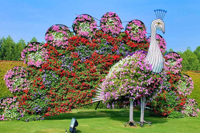 Dubai Miracle Garden Ticket With Transfer - Accessibility and Accommodations