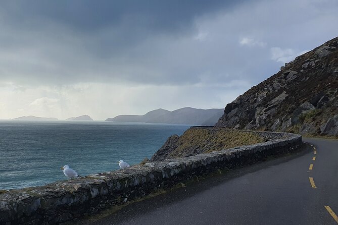 Dublin Airport to Galway ,Private Chauffeur Service - Operating Hours