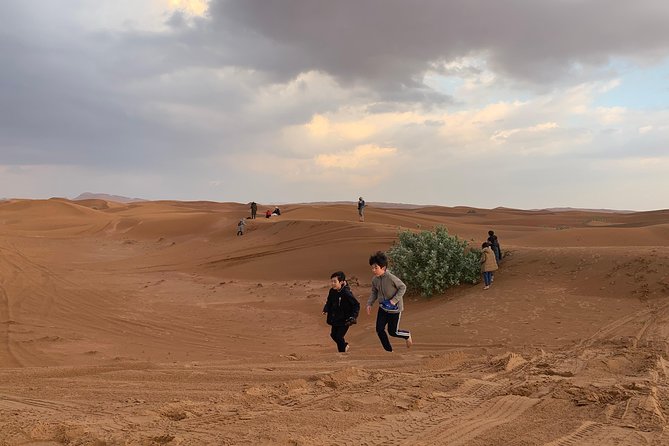 DUNE BASHING - Desert Safari, The Heartbeat of Dubai! - Captivating Cultural Experiences