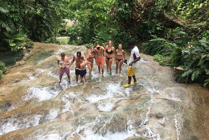Dunn's River Falls & Horse Back Riding Transportation Only - Additional Information