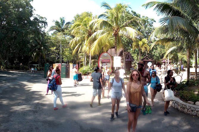 Dunns River Falls Park and Beach - Accessibility and Participation
