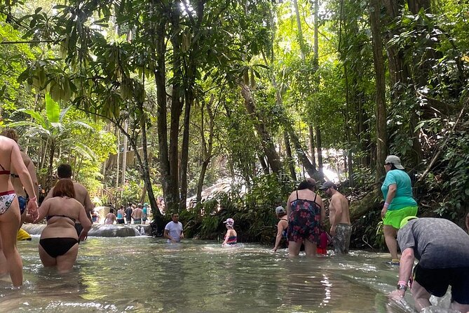 Dunns River Falls Private Day Tour - Accessibility and Additional Info