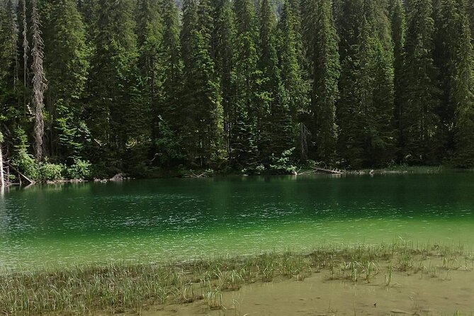 Durmitor National Park Hiking Tour - 3 Lakes - Health and Accessibility
