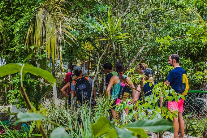 E-Bike Adventure in Cozumel - West Side Ride N Snorkel - Participant Requirements and Restrictions