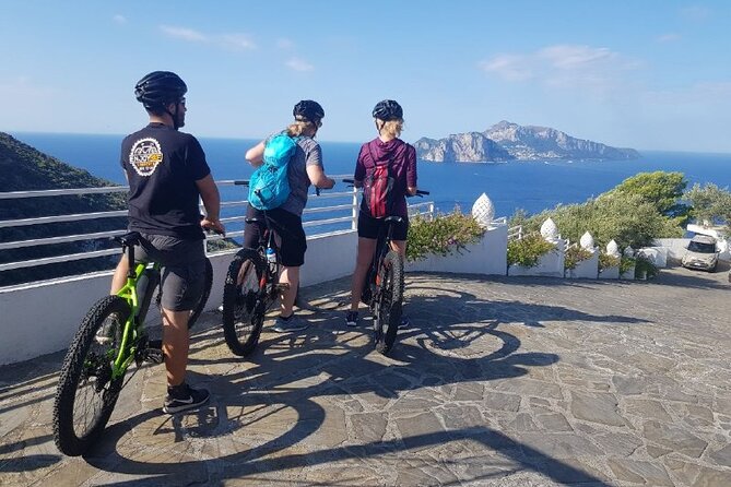 E-Bike Tour and Cooking Class in the Sorrento Peninsula - Menu Overview
