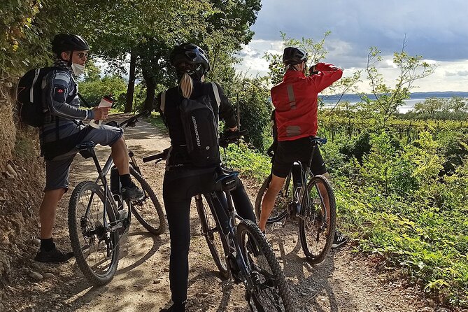 E-Bike Tour and Wine Tasting From Bardolino - Small-Group Tour Format