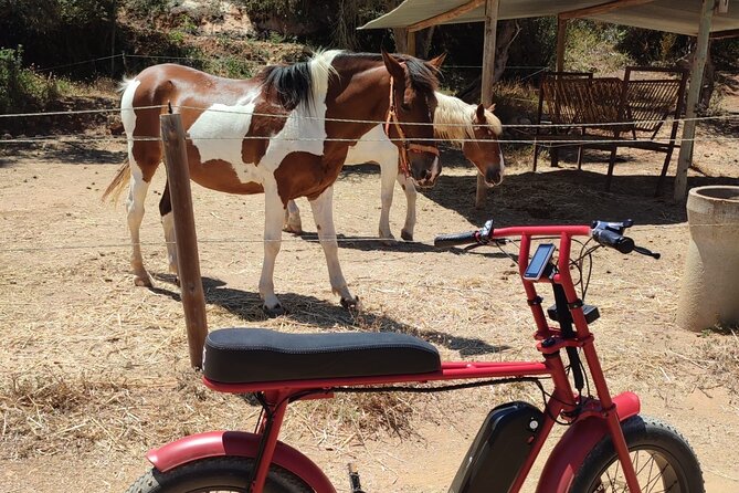 E-Bike Tour in Albufeira - Equipment and Tour Highlights