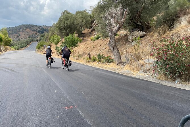 E-Bike Tour With Wine Tasting in Dafnes, Heraklion - Accessibility and Requirements
