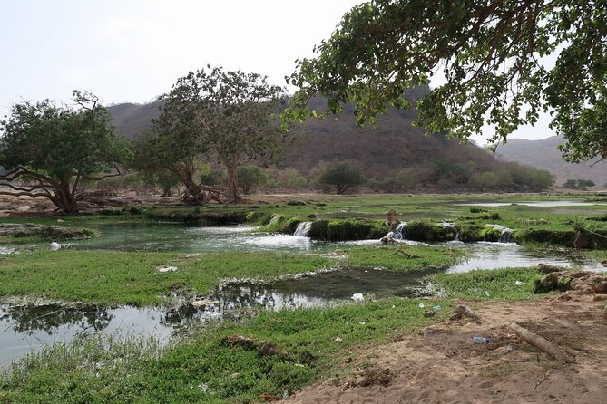 East of Salalah, Mountain Safari, Camels, Waterfall, White Beach - Pickup and Dropoff