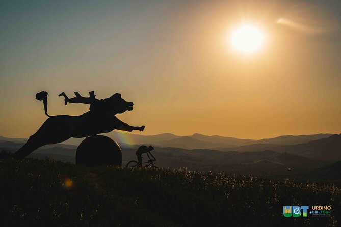 EBIKE Tour With Organic Wine Tasting - Assistance and Support
