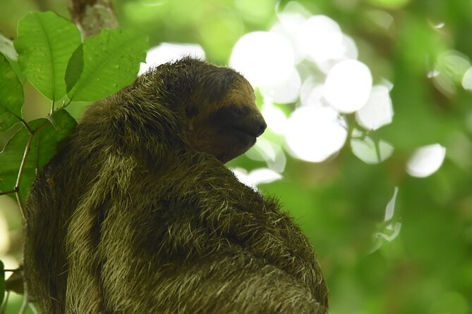Ecocentro Danaus Nature Walk and Search for Sloths - Booking and Cancellation Policy