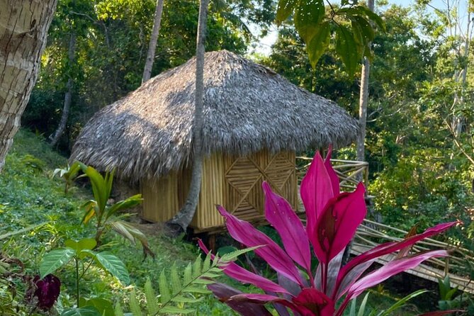 Ecolodge Overnight Experience El Limon Waterfalls, Samana, DR. - Transportation and Accessibility
