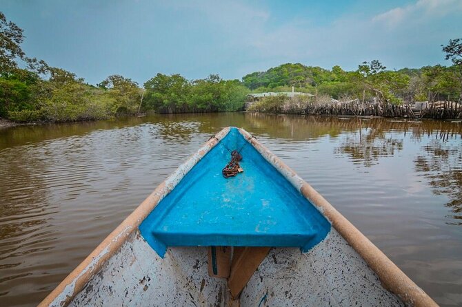 Ecological Route by Lever Canoe With Artisanal Fishing Show - Exploring the Mangroves