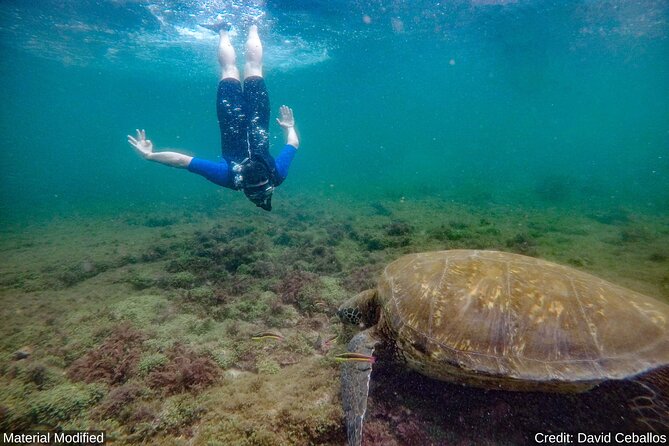 Ecuador & Galapagos: See It ALL in 12 Days, 1st Class Tours - Booking and Cancellation Policy