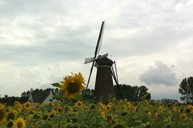 Eindhoven: E-Fatbike Tour in the Footsteps of Vincent Van Gogh - Booking Process