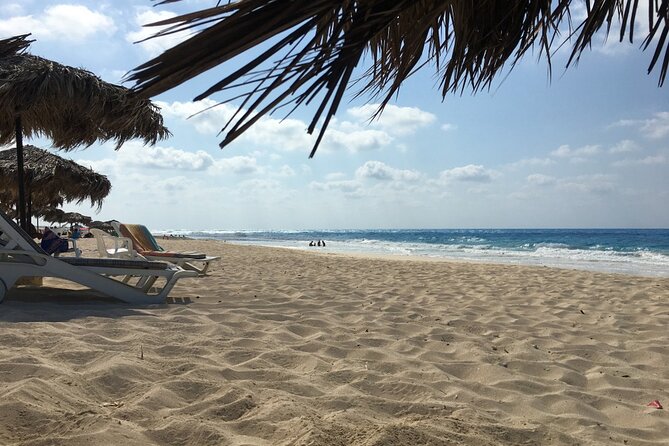 El Alamein Day Trip From Alexandria Port - Accessibility Information