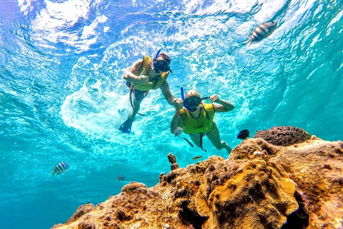El Cielo Snorkel by Private Boat - Snorkeling Highlights