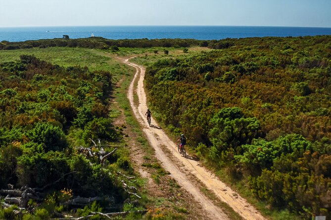 Electric Off-Road Scooter Tour in Pula - Tour Restrictions